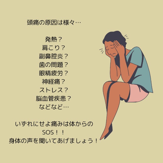 f:id:goodmotion55:20231117160603j:image f:id:goodmotion55:20231117160603j:image