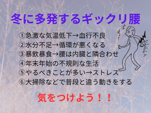f:id:goodmotion55:20231225170836j:image f:id:goodmotion55:20231225170836j:image