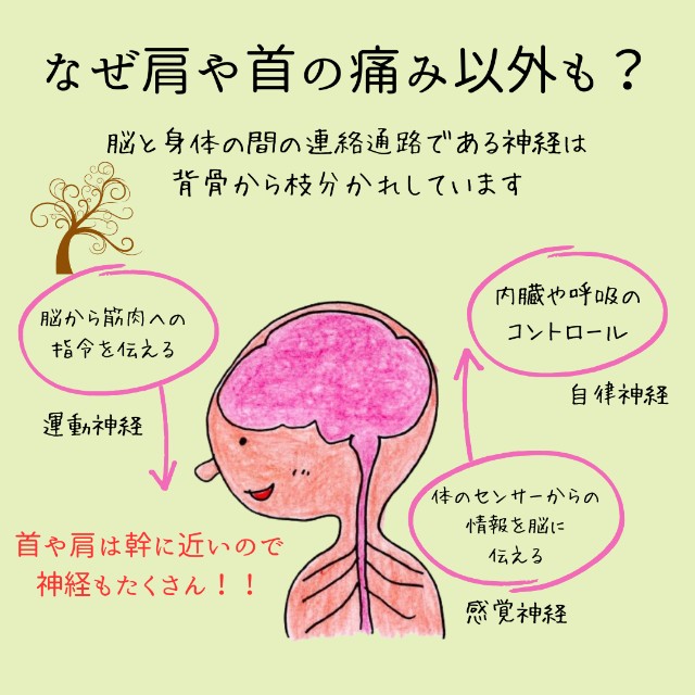 f:id:goodmotion55:20240203092941j:image f:id:goodmotion55:20240203092941j:image