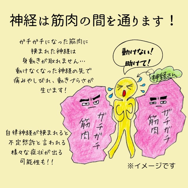 f:id:goodmotion55:20240203092957j:image f:id:goodmotion55:20240203092957j:image