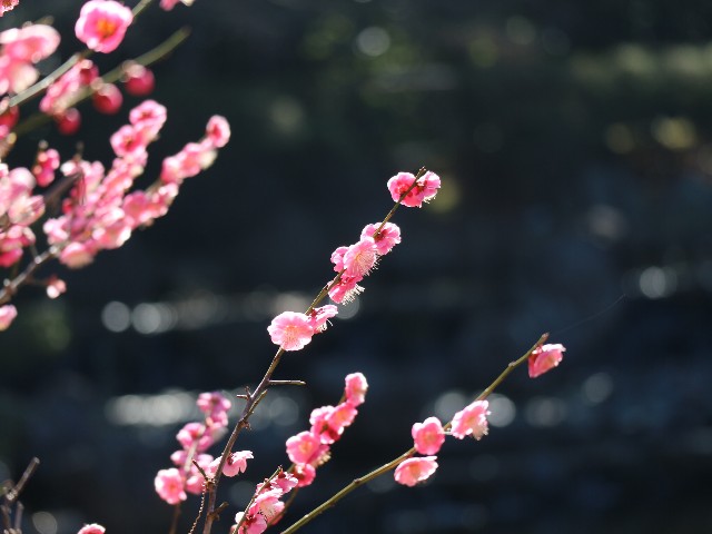 f:id:goodmotion55:20240221201355j:image