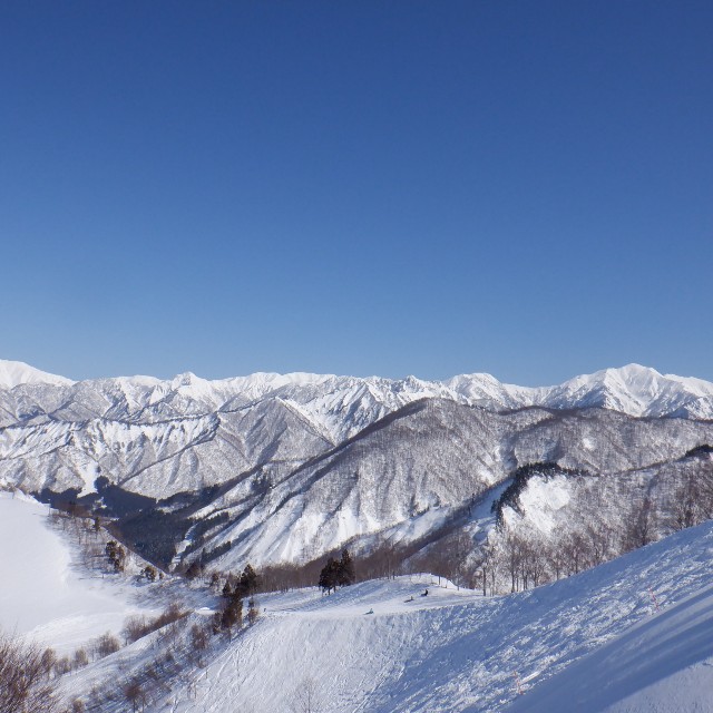 f:id:goodmotion55:20240227003645j:image