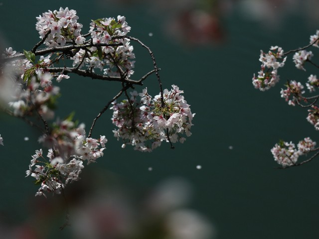 f:id:goodmotion55:20240416151722j:image