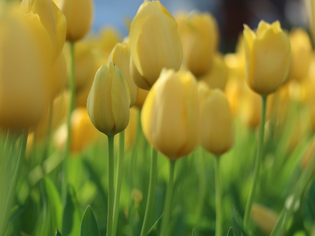 f:id:goodmotion55:20240416151804j:image