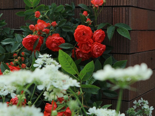 f:id:goodmotion55:20240504092010j:image