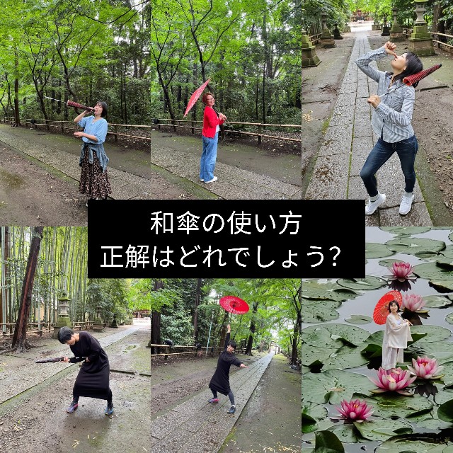 f:id:goodmotion55:20240521185750j:image