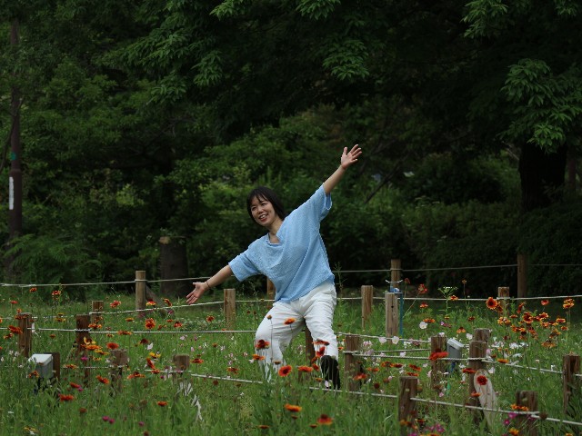 f:id:goodmotion55:20240521210043j:image