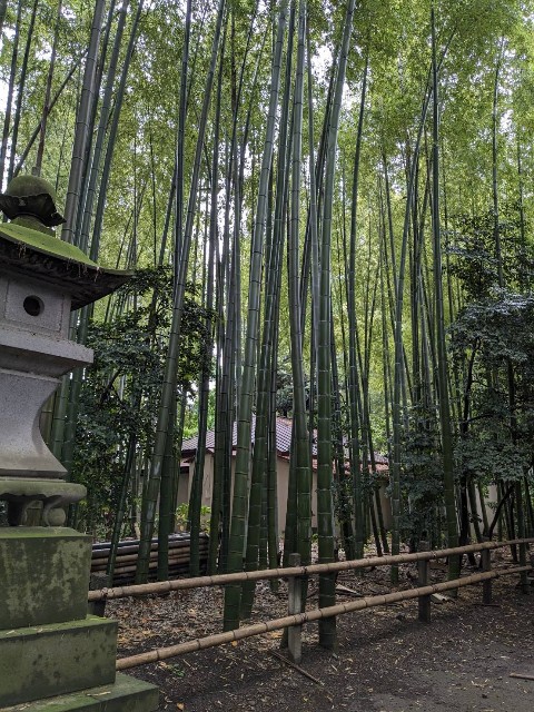 f:id:goodmotion55:20240521211718j:image