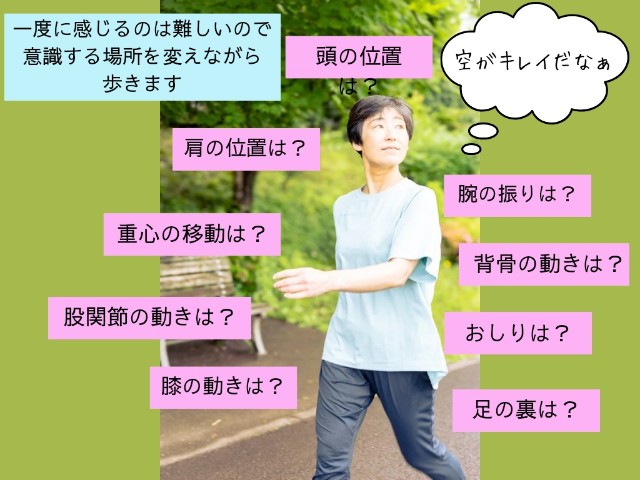 f:id:goodmotion55:20240608121448j:image f:id:goodmotion55:20240608121448j:image