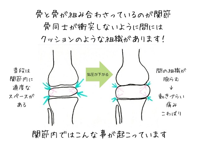 f:id:goodmotion55:20240703232905j:image