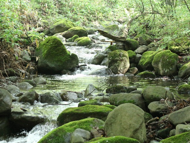 f:id:goodmotion55:20240818145217j:image
