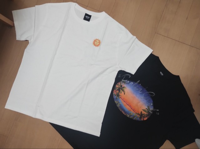 f:id:goodmotion55:20240825232835j:image