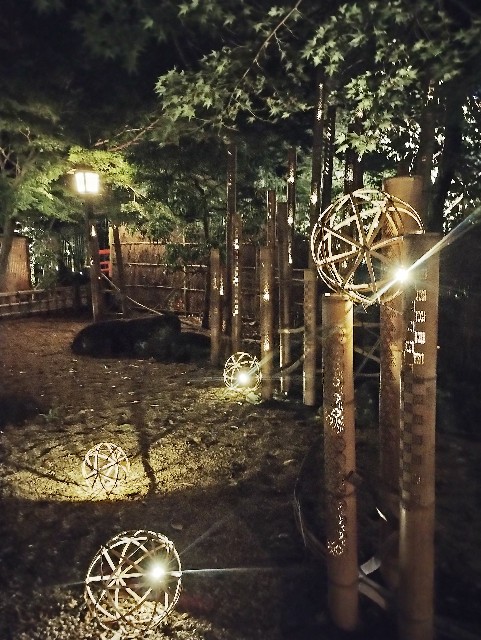 f:id:goodmotion55:20241018232701j:image
