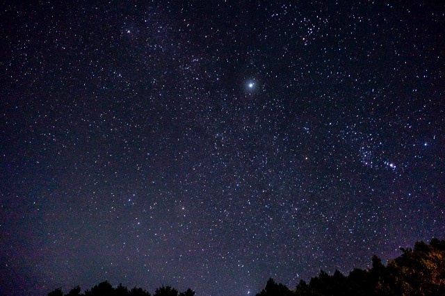 f:id:goodmotion55:20241018234628j:image