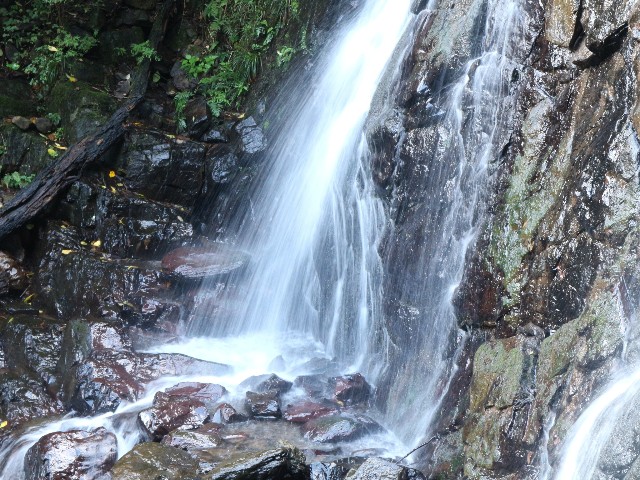 f:id:goodmotion55:20241019092654j:image