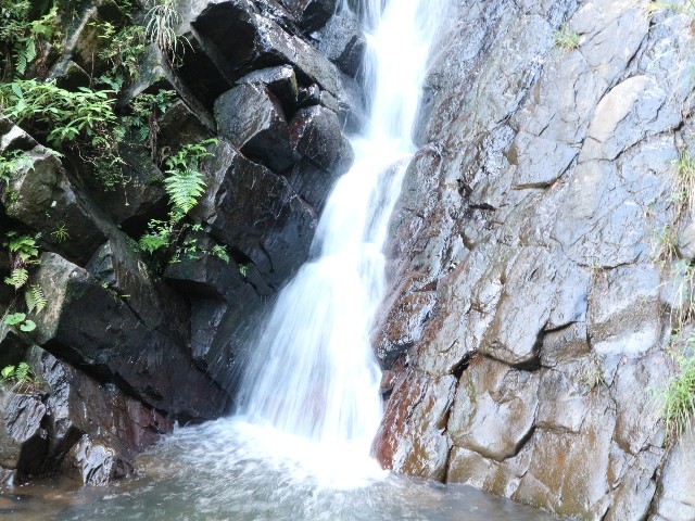 f:id:goodmotion55:20241019093201j:image