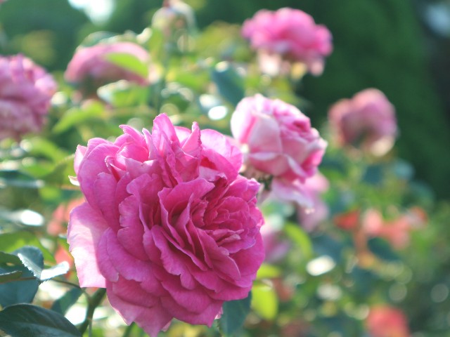 f:id:goodmotion55:20241020205714j:image