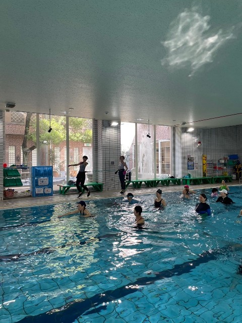 f:id:goodmotion55:20241028201536j:image