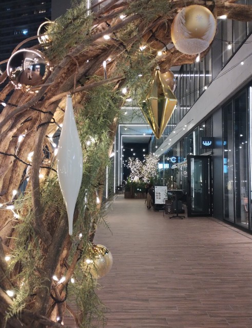 f:id:goodmotion55:20241117200209j:image f:id:goodmotion55:20241117200209j:image