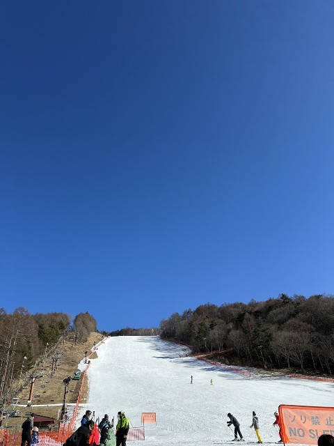 f:id:goodmotion55:20250103121859j:image