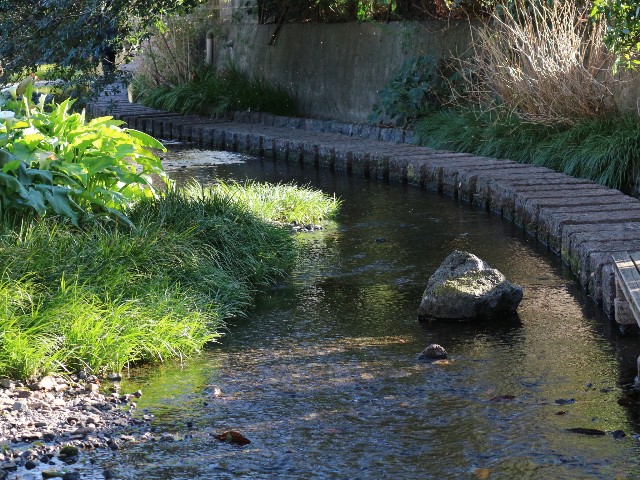 f:id:goodmotion55:20250217070720j:image