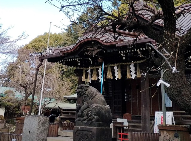 f:id:goodmotion55:20250217082202j:image