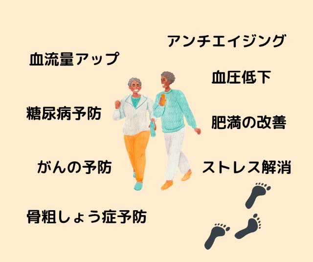 f:id:goodmotion55:20250228202758j:image