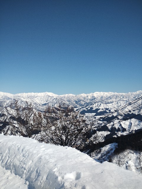 f:id:goodmotion55:20250310205153j:image