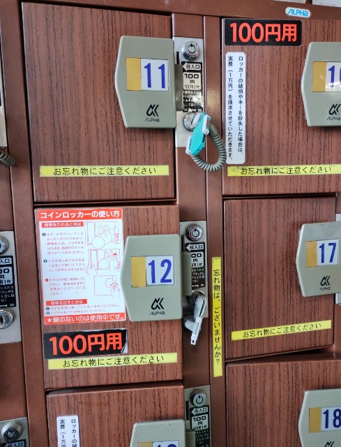 f:id:goodmotion55:20250310223926j:image