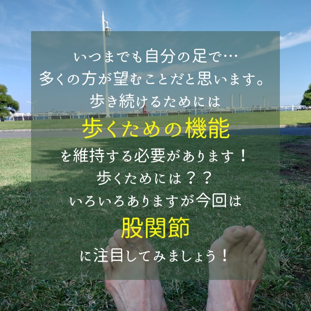 f:id:goodmotion55:20250323155449j:image