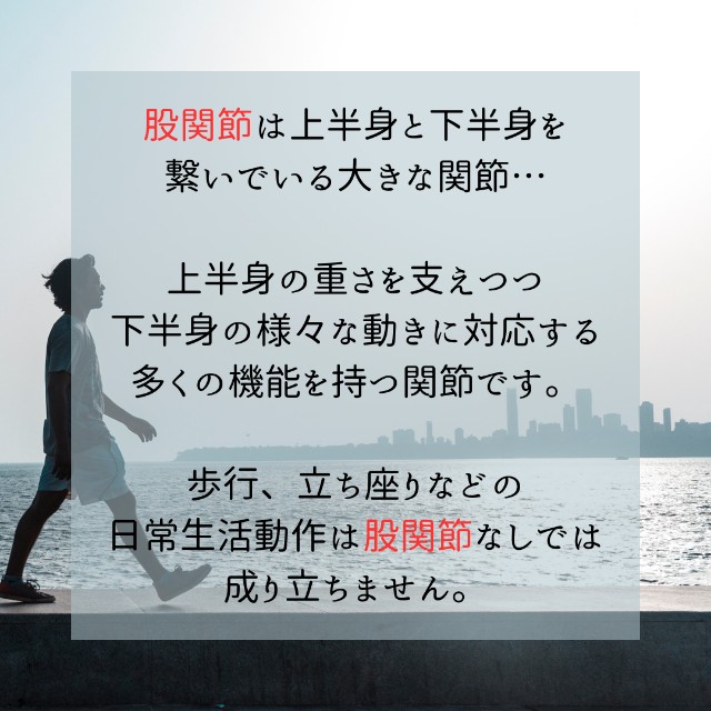 f:id:goodmotion55:20250323155505j:image