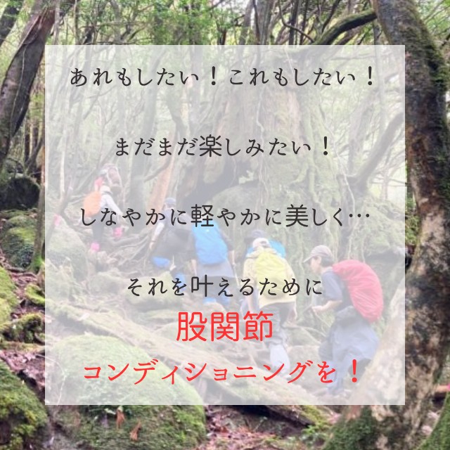 f:id:goodmotion55:20250323155534j:image