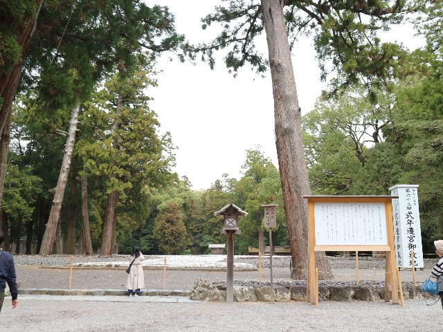 f:id:goodmotion55:20250331233854j:image