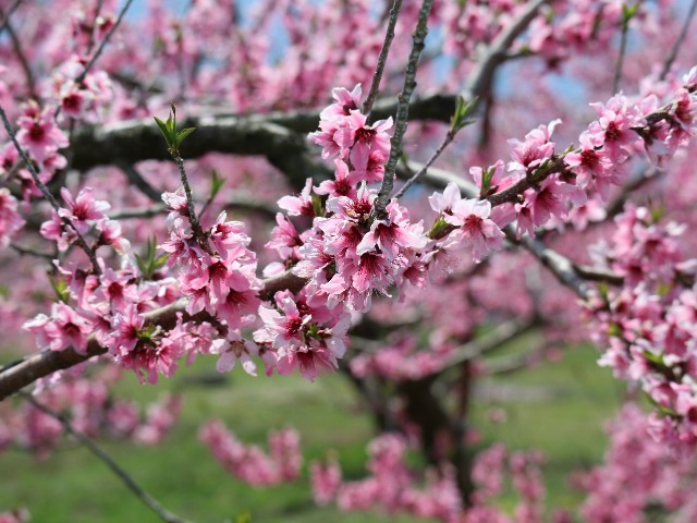 f:id:goodmotion55:20250415100241j:image