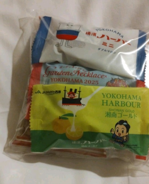 f:id:goodmotion55:20250415154919j:image