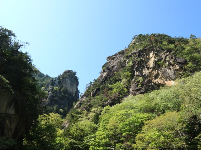 f:id:goodmotion55:20250429084145j:image