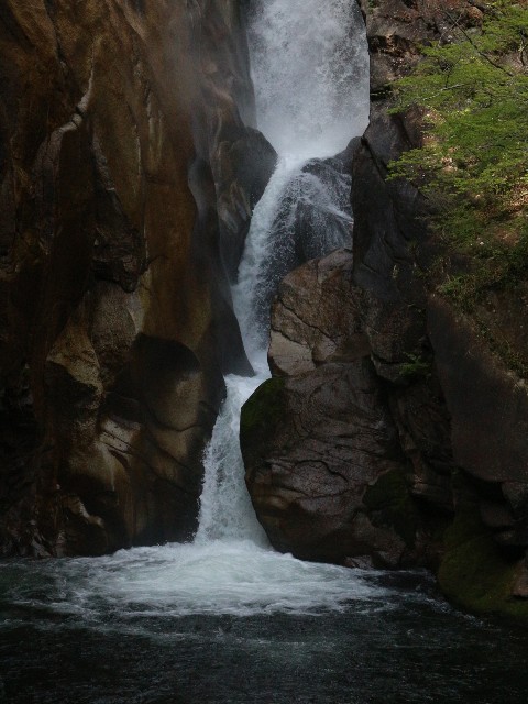 f:id:goodmotion55:20250429085428j:image
