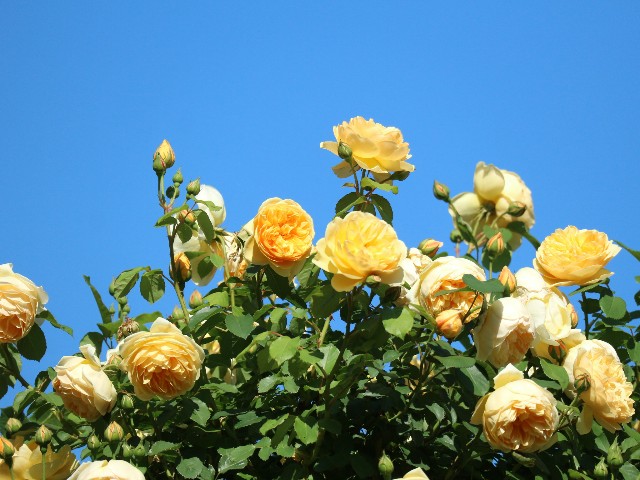 f:id:goodmotion55:20250525191337j:image f:id:goodmotion55:20250525191337j:image