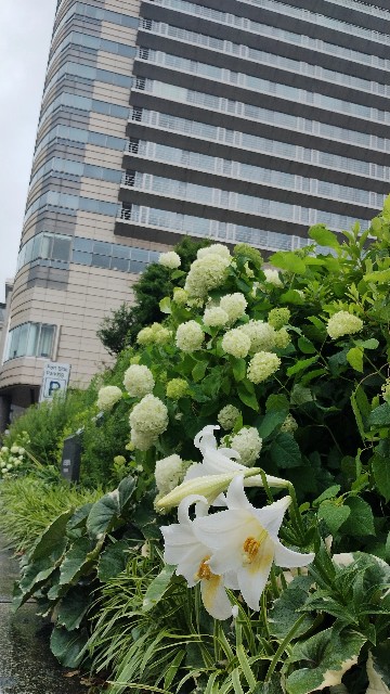 f:id:goodmotion55:20250602005026j:image f:id:goodmotion55:20250602005026j:image