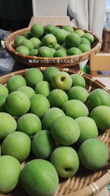 f:id:goodmotion55:20250626212242j:image