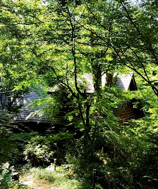 f:id:goodmotion55:20250817124026j:image f:id:goodmotion55:20250817124026j:image