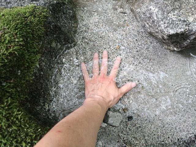 f:id:goodmotion55:20250901195459j:image