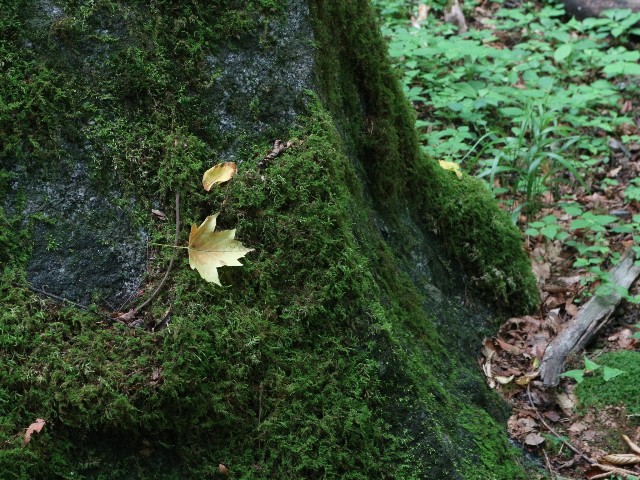 f:id:goodmotion55:20250901200848j:image