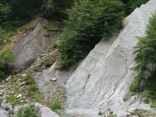 f:id:goodmotion55:20250901202345j:image