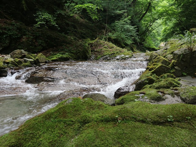 f:id:goodmotion55:20250901204026j:image