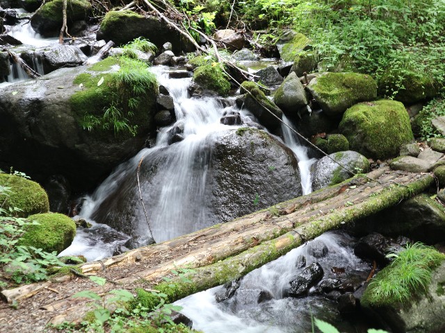 f:id:goodmotion55:20250901221851j:image