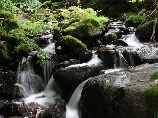 f:id:goodmotion55:20250901221923j:image