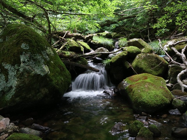 f:id:goodmotion55:20250901221952j:image