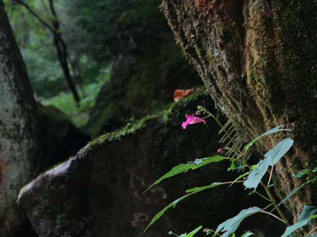 f:id:goodmotion55:20250901222323j:image