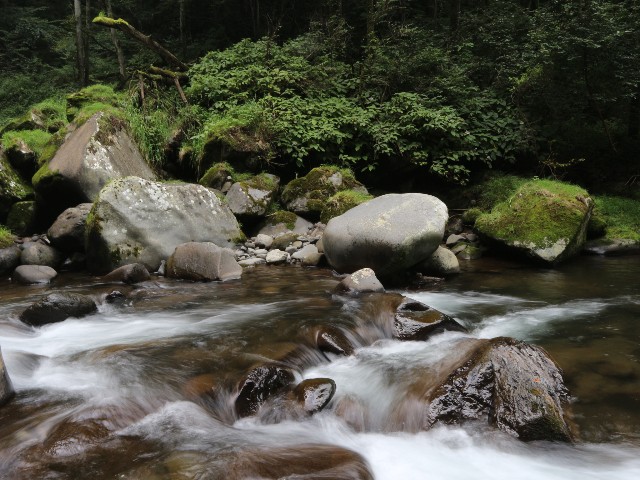 f:id:goodmotion55:20250901222347j:image